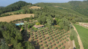 Il Diaccino Gaiole In Chianti